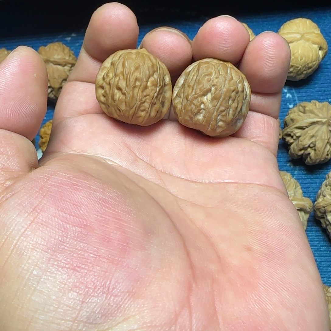 *****文玩核桃把件野生佛顶珠26