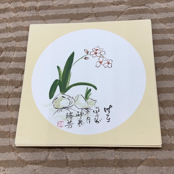 国画花鸟的翅膀和