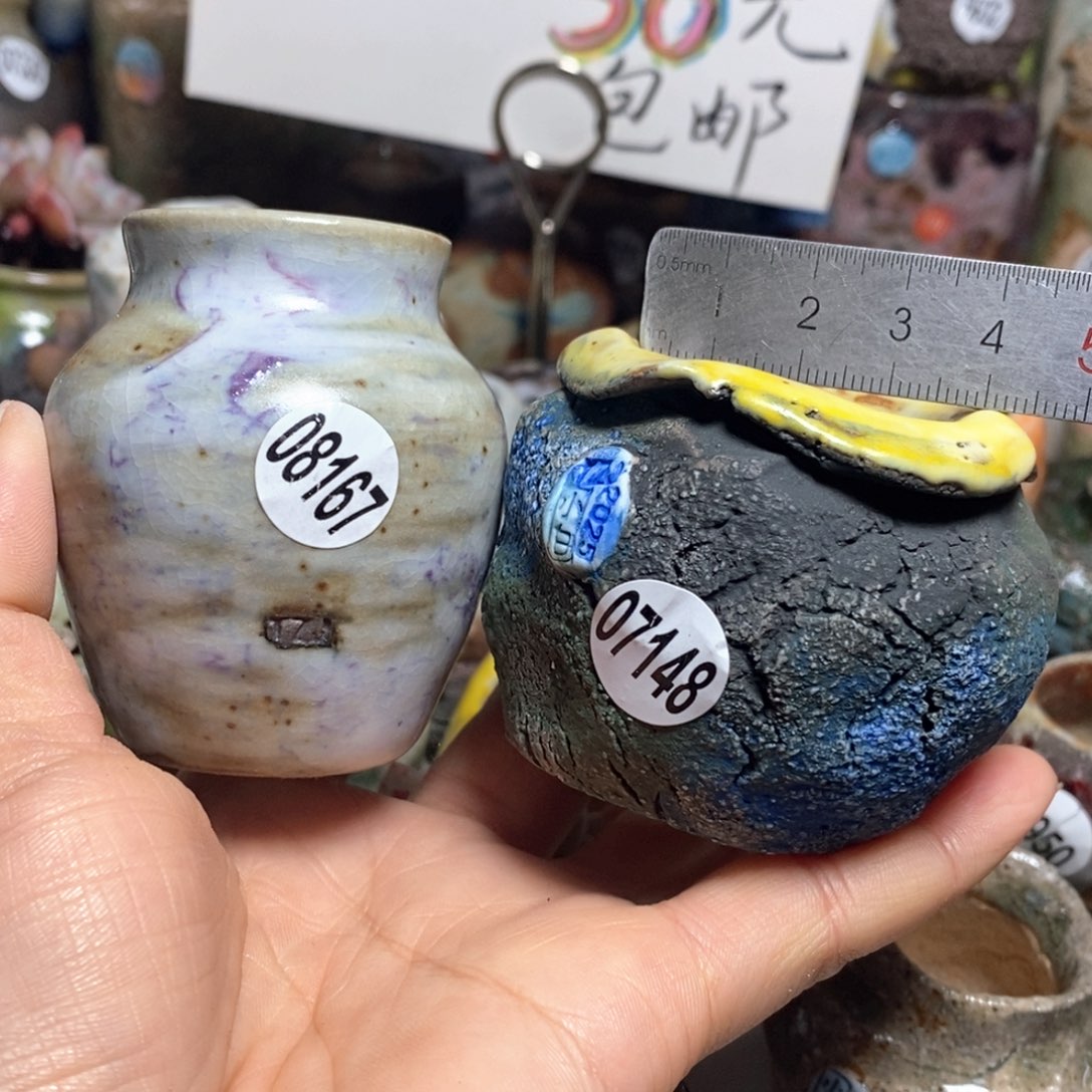 吃***菜花盆拍3送一个小礼物