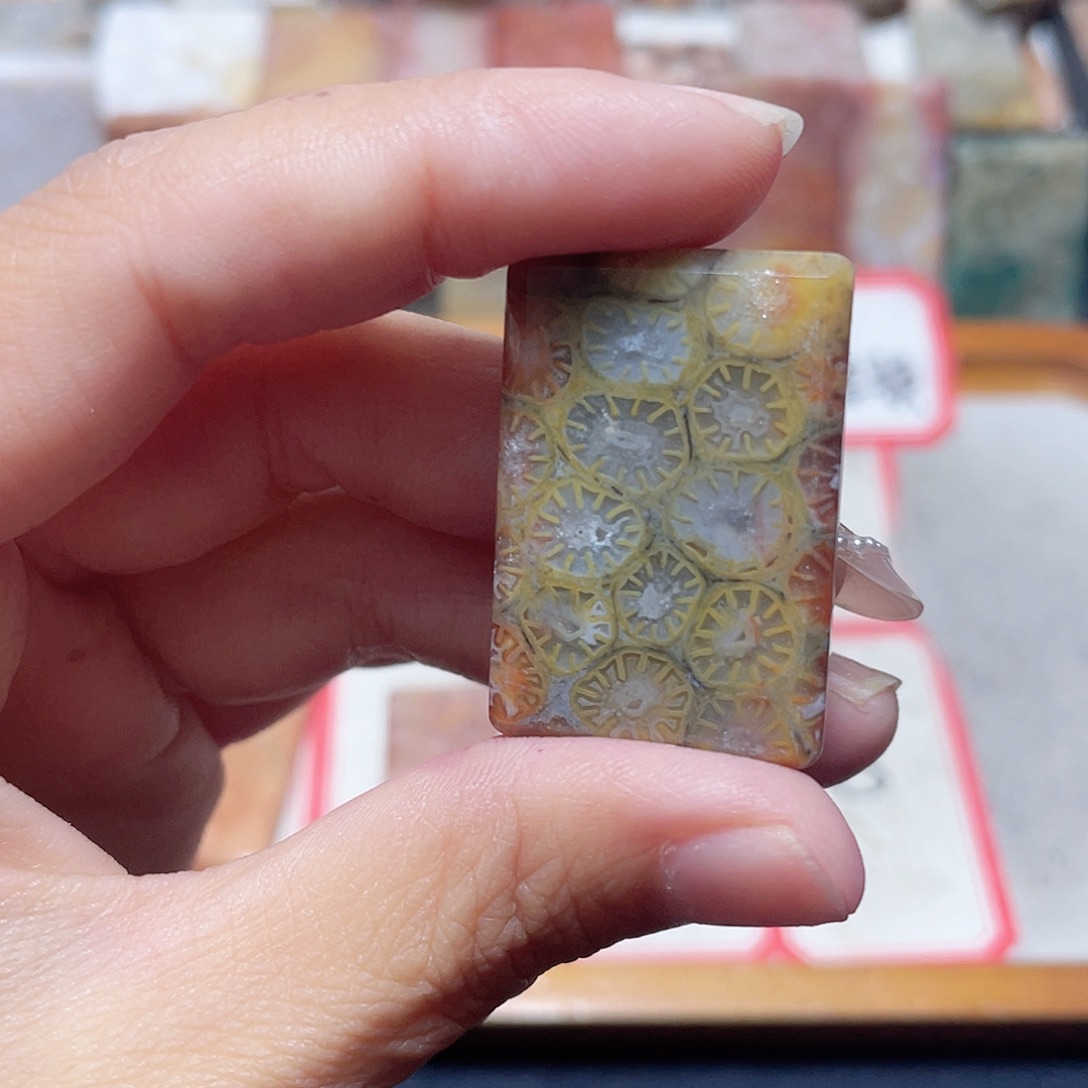 硅化珊瑚（珊瑚玉）合金颈饰