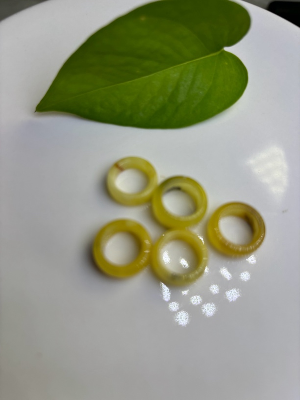 纯天然蜜蜡跑环有植物有瑕疵 尺寸10➕多样性发一枚