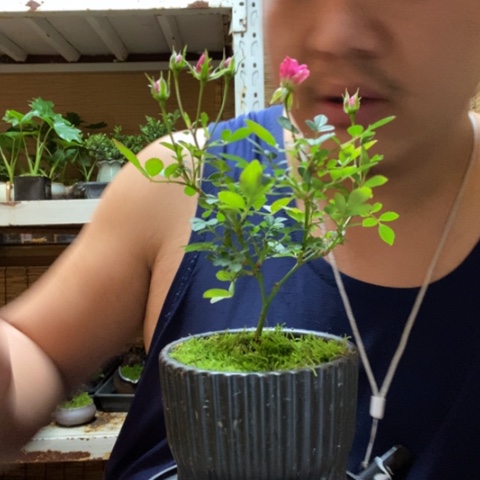 红陶南*一物一拍所见即所得324