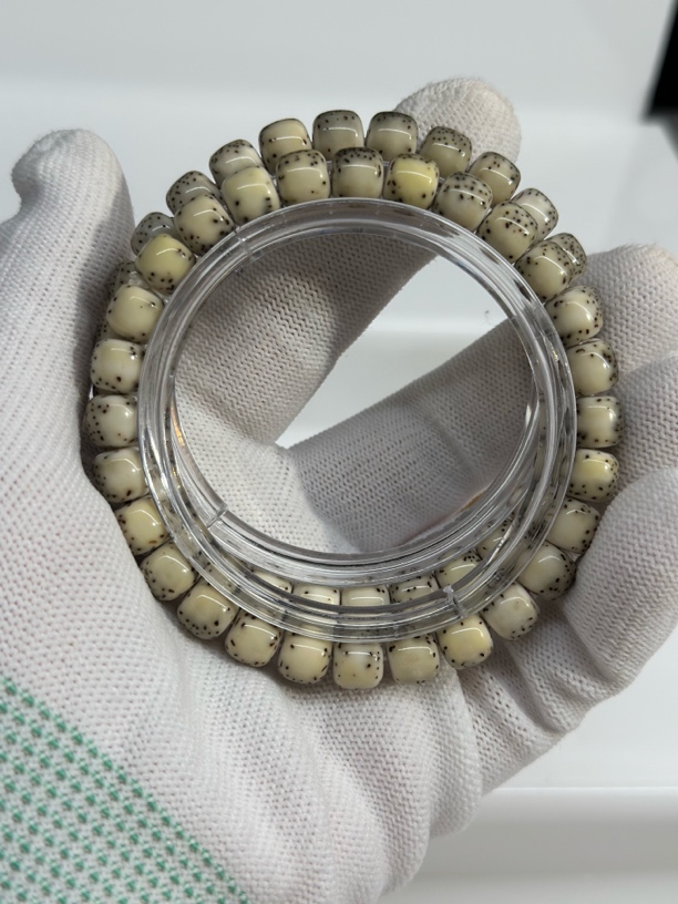 海南原生态星月菩提072