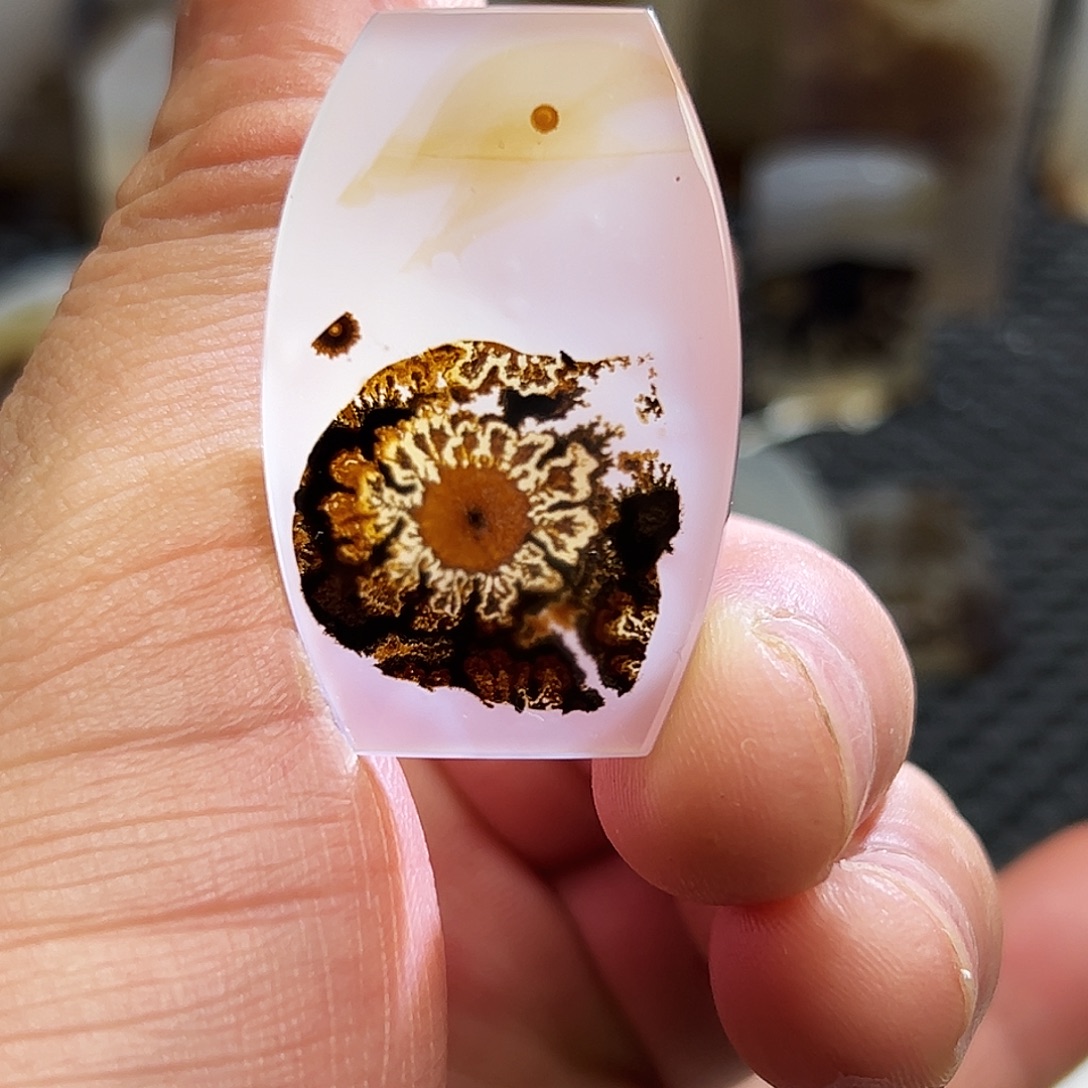 泽***玛瑙/玉髓未镶嵌珠宝半成品