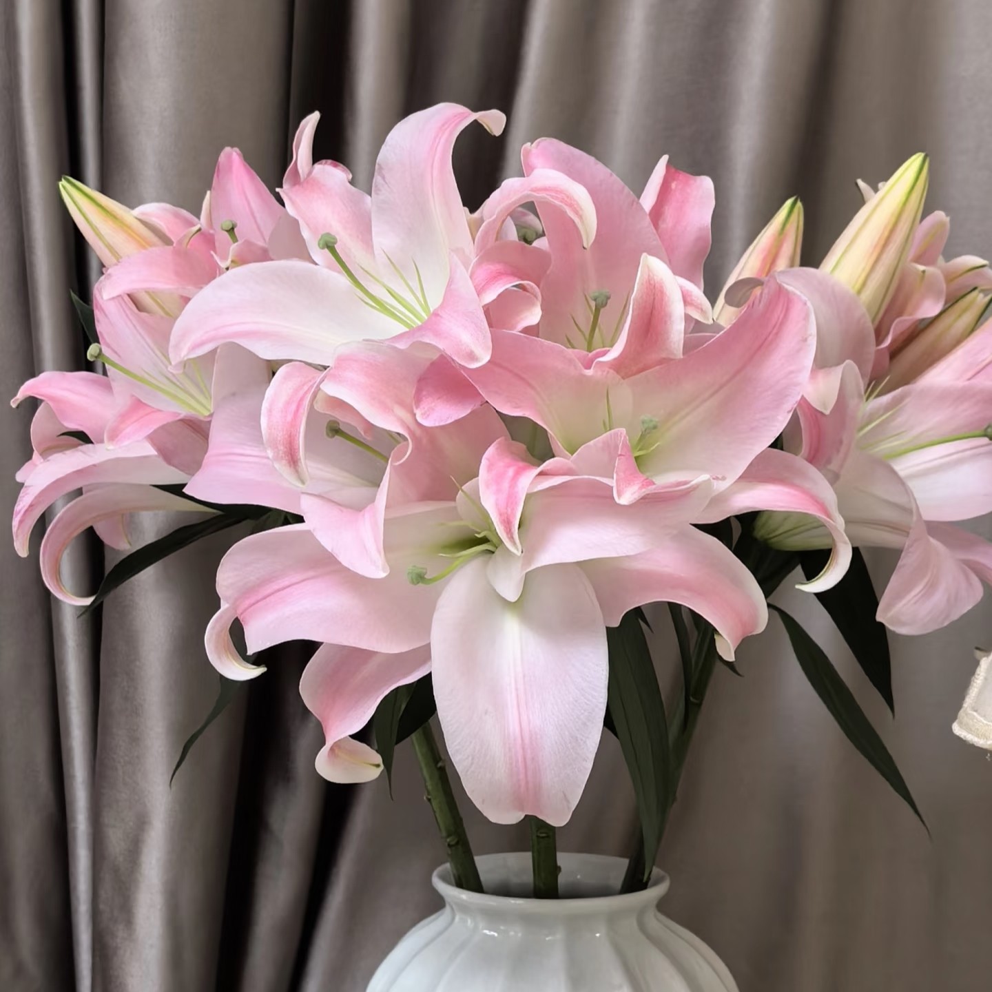 粉色星光香水百合鲜花基地直发水培插花居家适用一单顺丰包邮