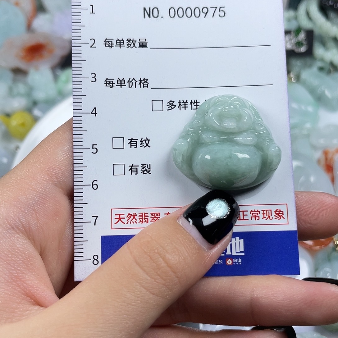 翡翠未镶嵌颈饰975