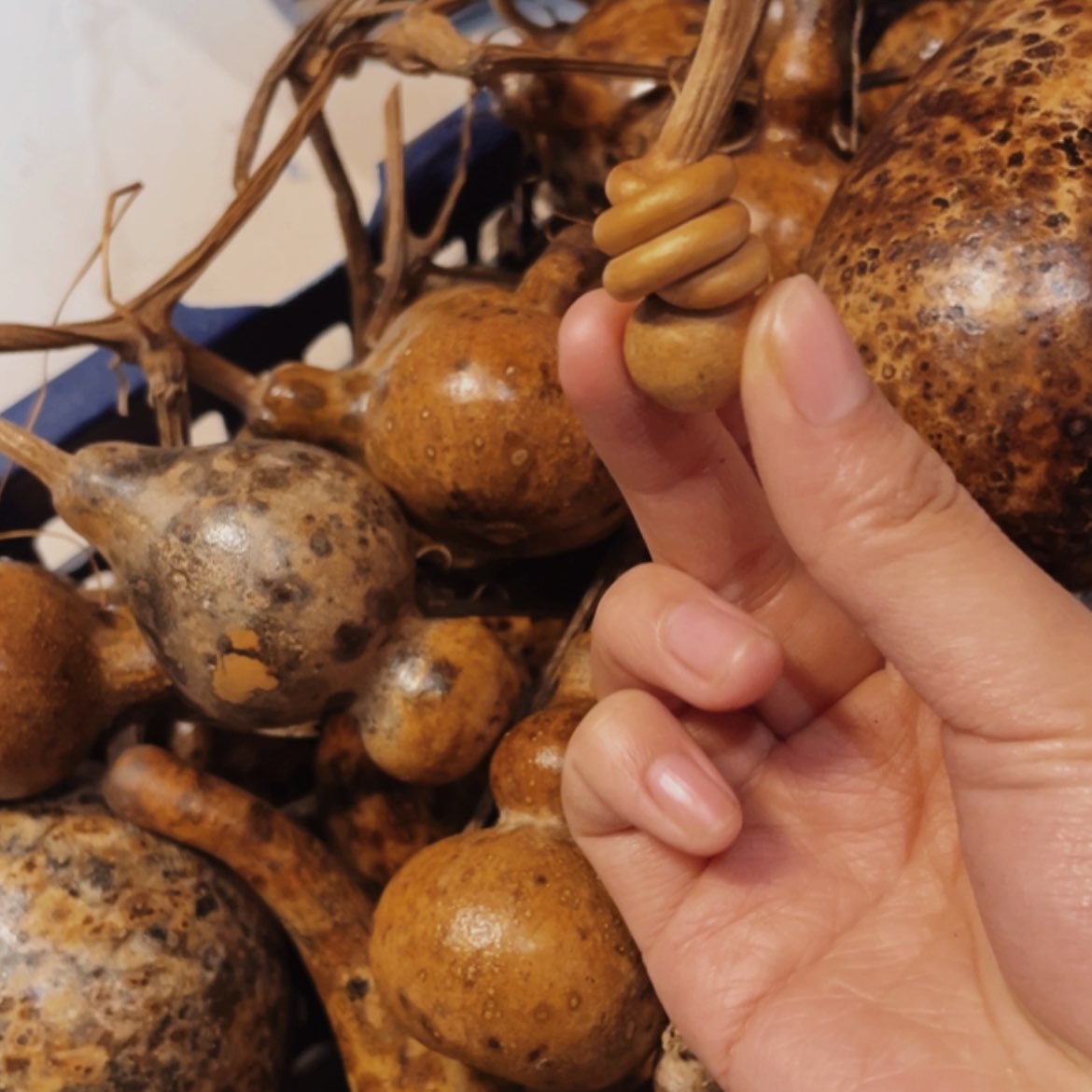 【闪购商品】木灬葫芦