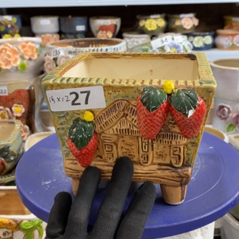 【闪购商品】红陶1