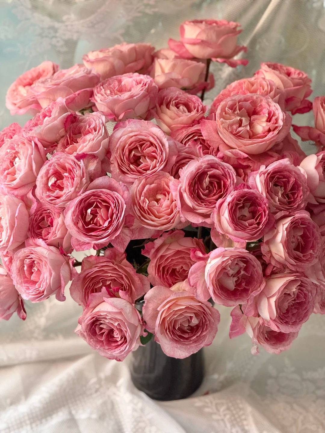 【美人醉】多头玫瑰 真花鲜切花云一单中通 拍够任意两单鲜花顺丰