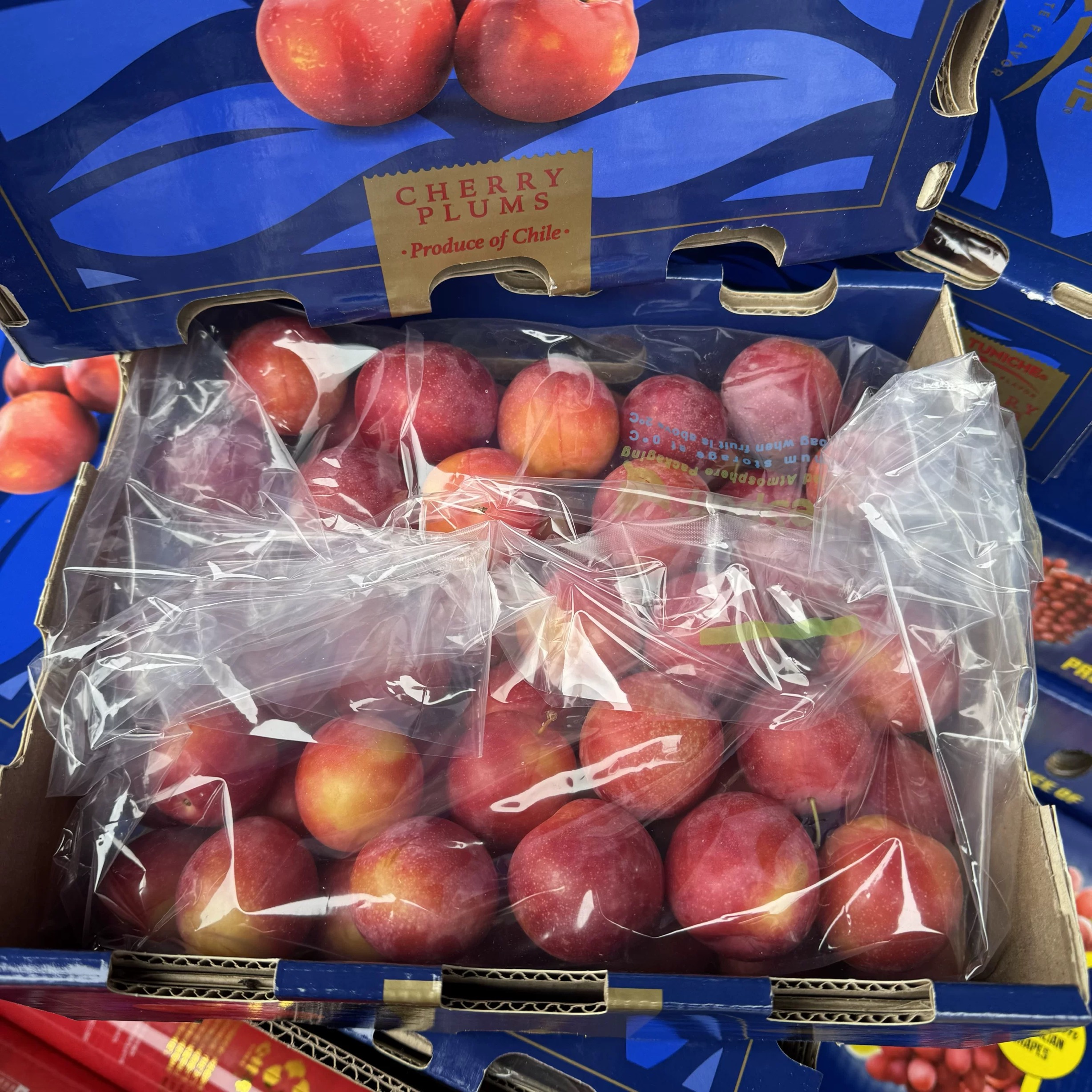 【樱桃李5J】图里奇果王智利进口樱桃李 纯甜无酸 孕妇宝妈水果1-5斤包邮