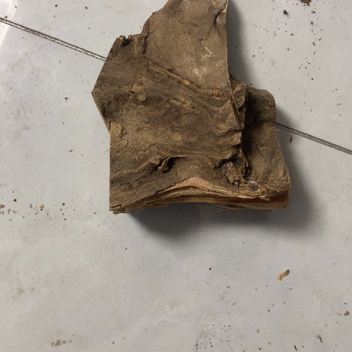 林***大无花朵今天晚上在学校吃饭