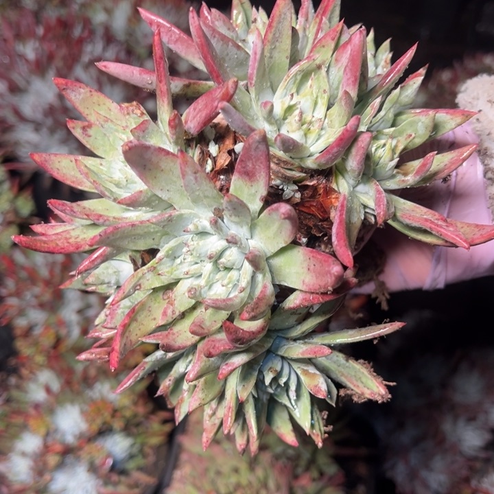 178哈哈哈哈哈哈哈哈