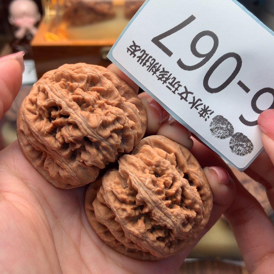 文玩核桃把件43粗筋 