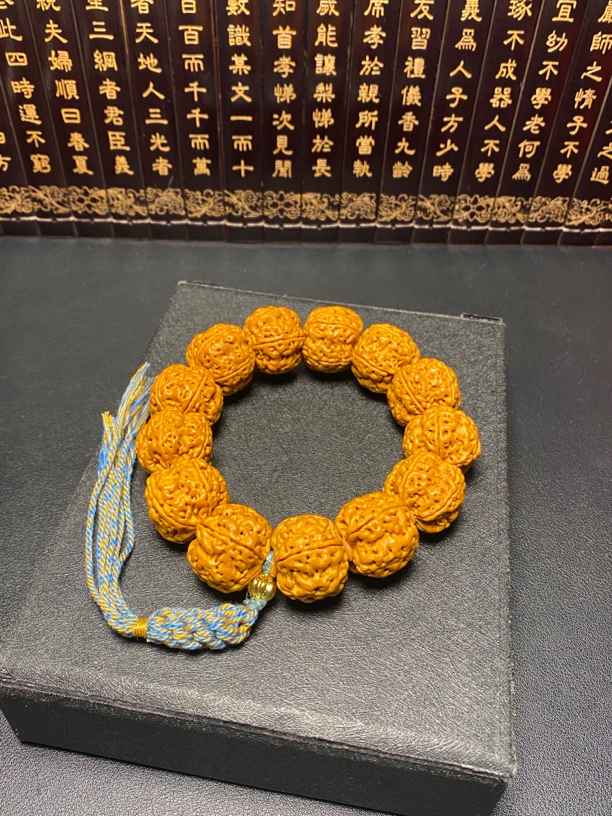 高端五爪龙精品大梅花（7号）