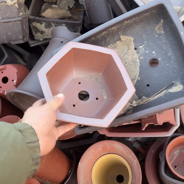 我也很开心了我很想看的那会