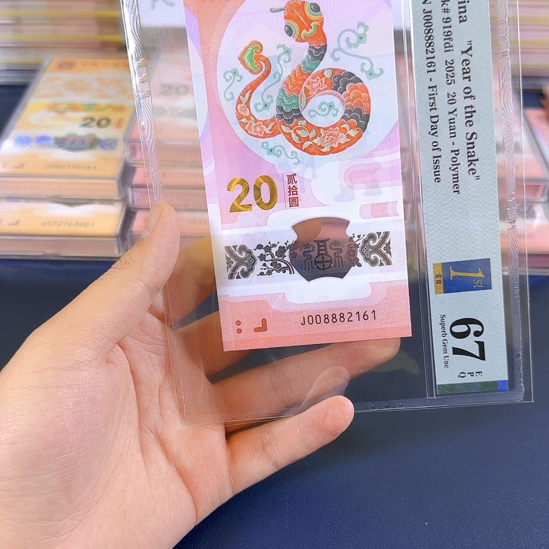 塑料蛇钞008882161单张