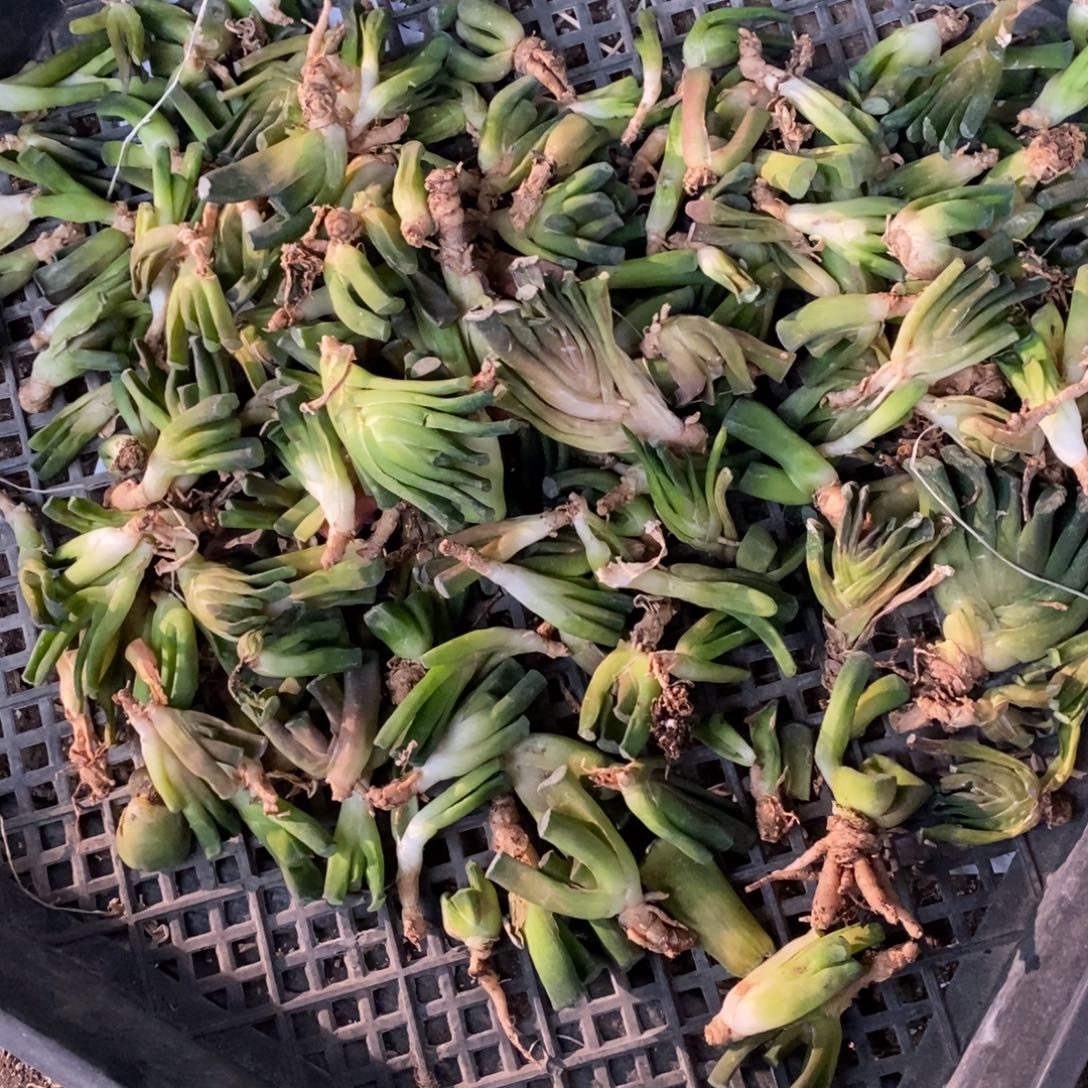 。***h670 一整筐全部 超级福利