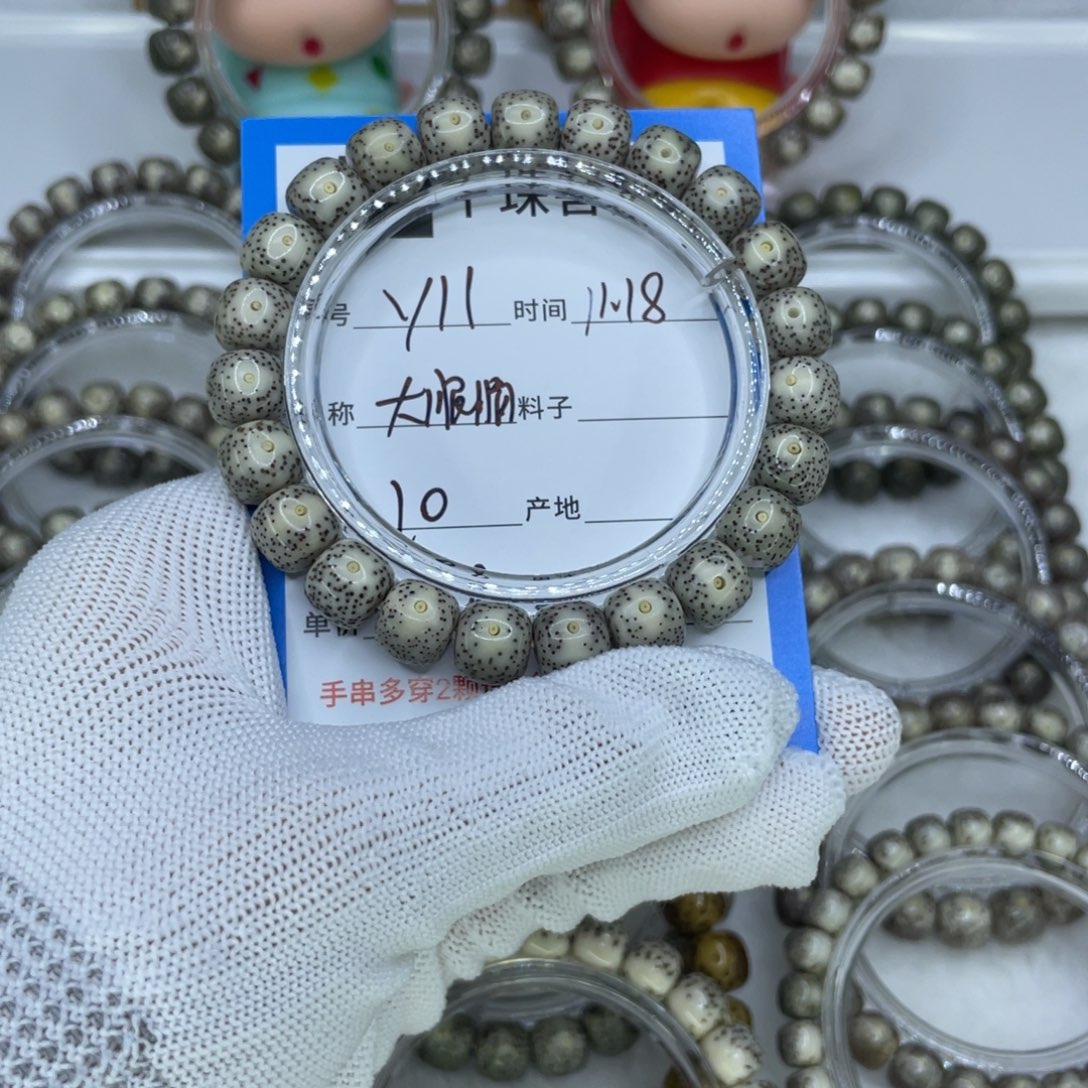 菩提籽类Y11大眼睛00