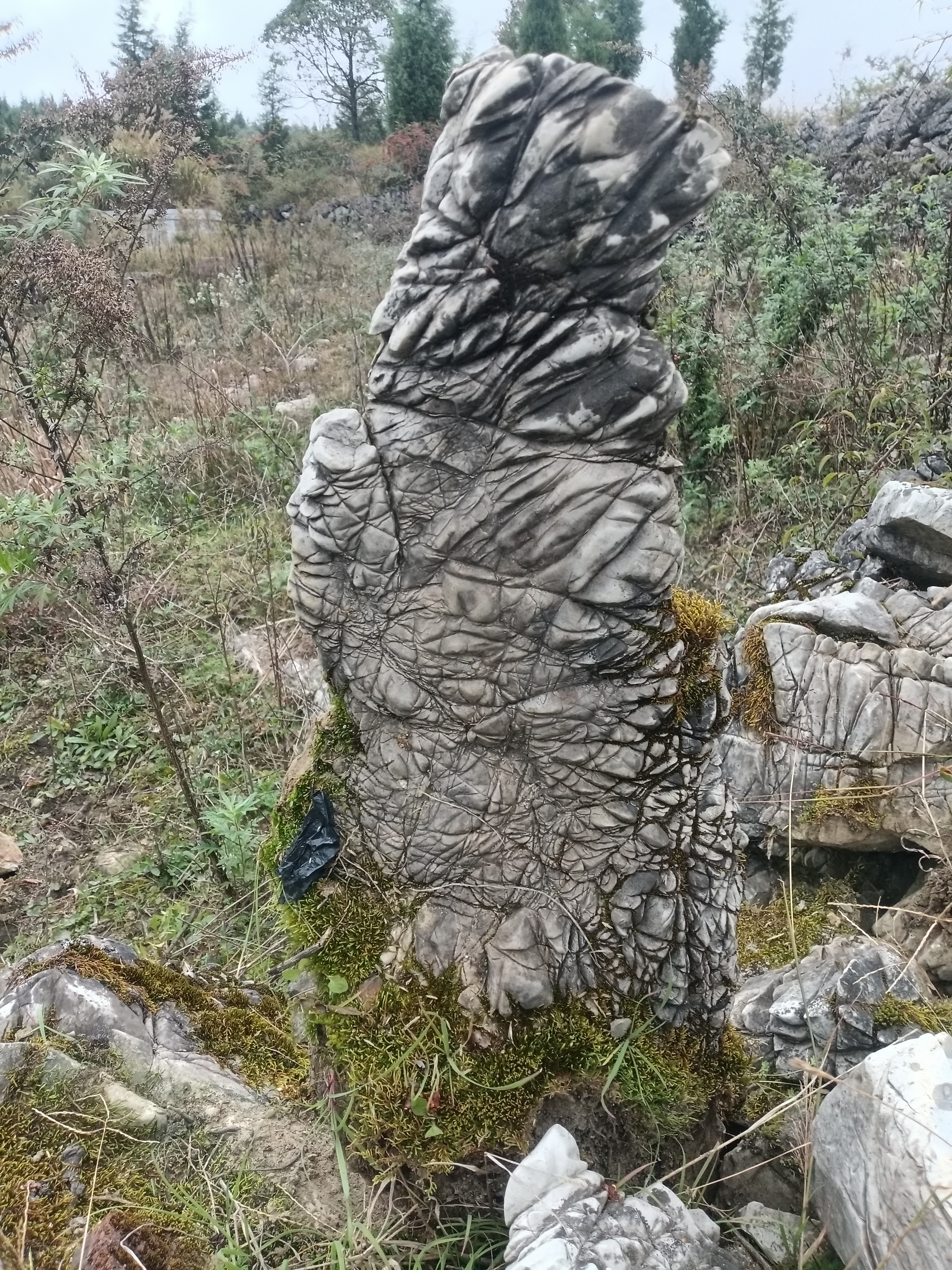 家居装饰自然景观造景石