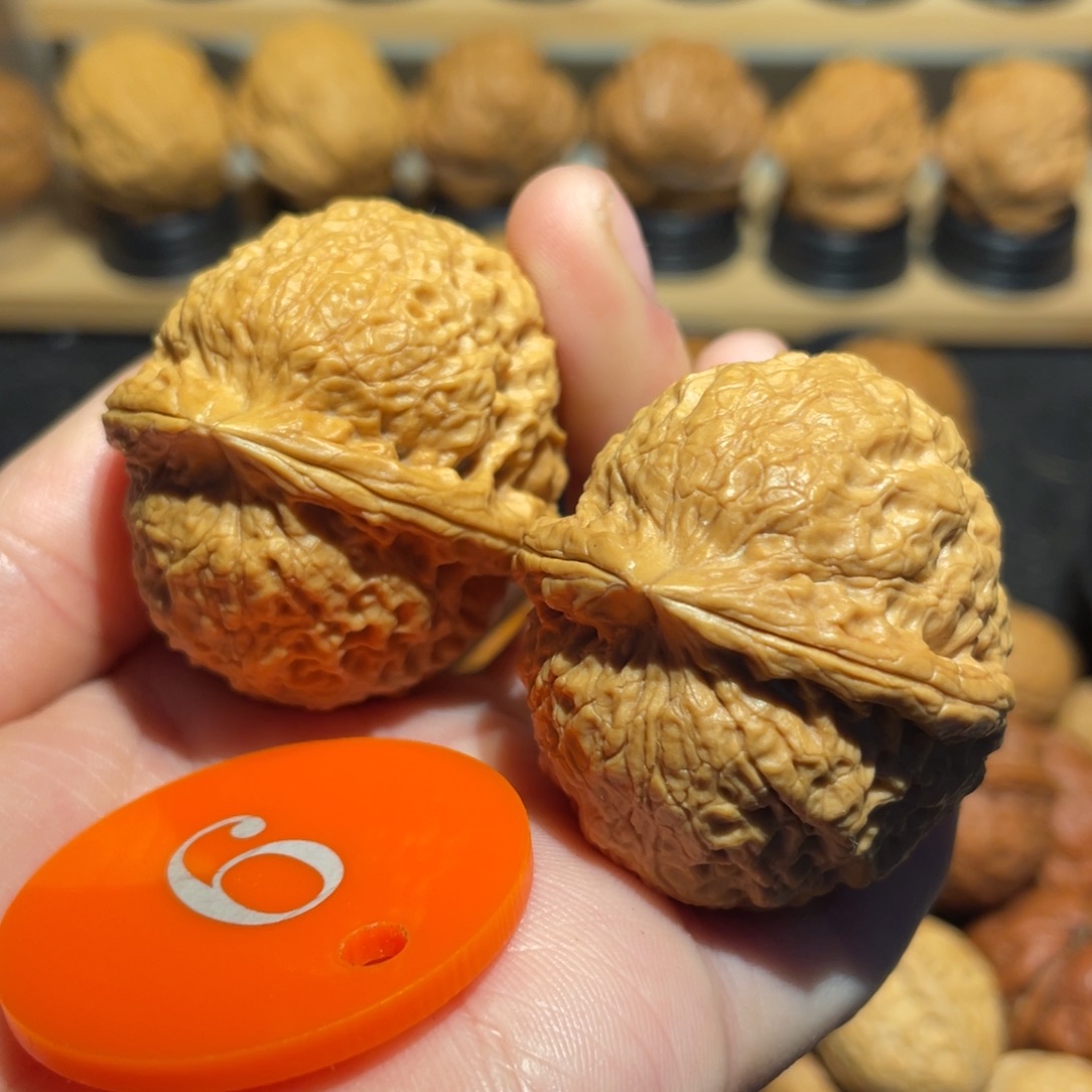 龙鳞铁狮子核桃40。  