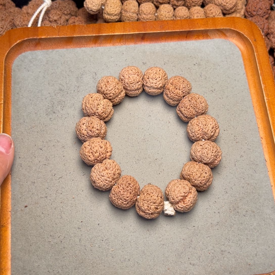 菩提34号金刚菩提熊猫菠萝蜜21