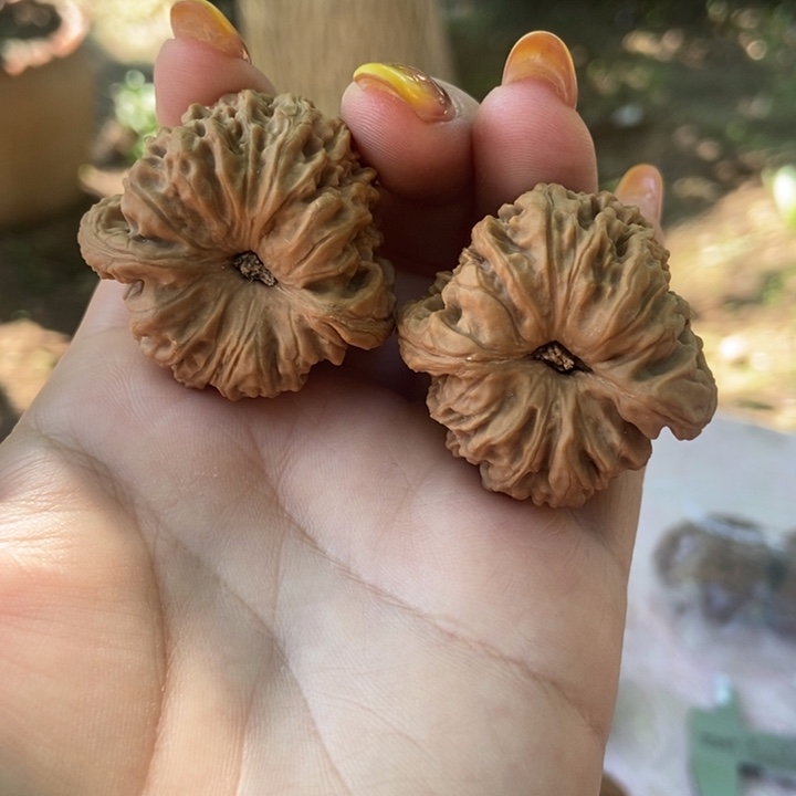 猴头核桃吊坠37凹底