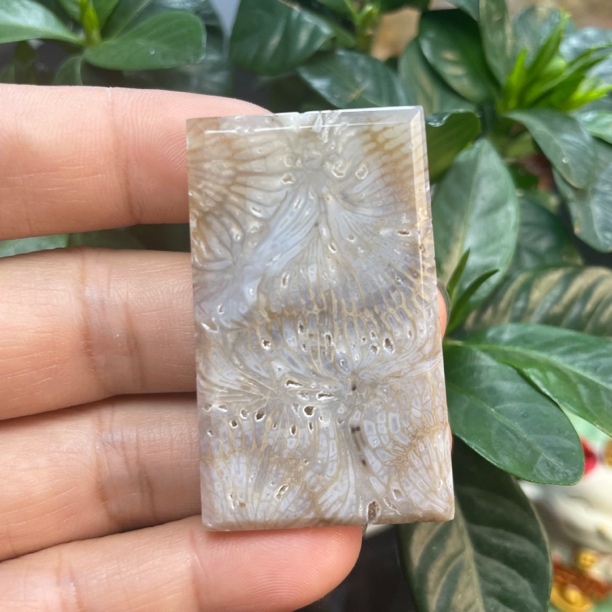 亿年花印尼天然珊瑚玉骨骼冰透水晶爆闪大龙骨收藏吊坠平安无事牌