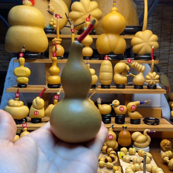 啵***啵天然葫芦自然生长