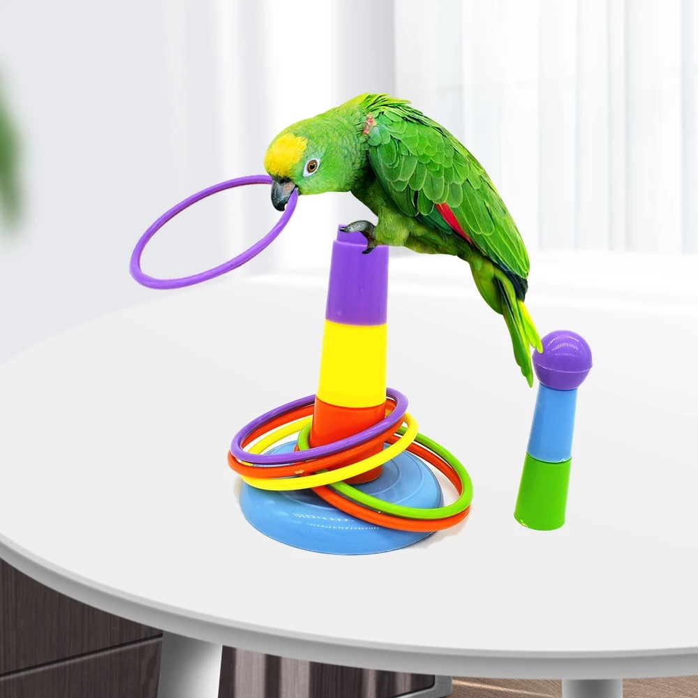 鹦鹉益智玩具互动八哥小太阳开发鸟玩具 套圈圈训练宠物 bird toy
