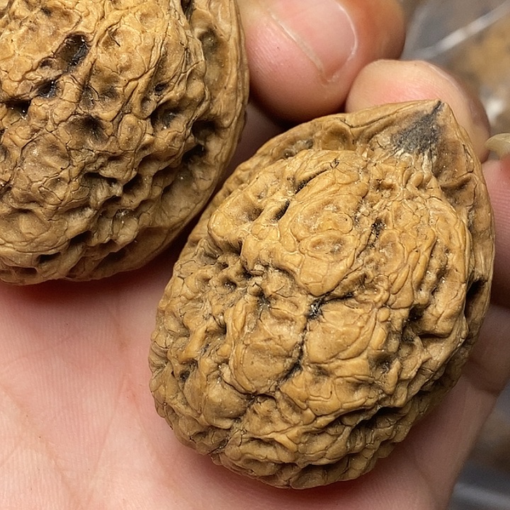 把件文玩核桃志成云铁文玩29