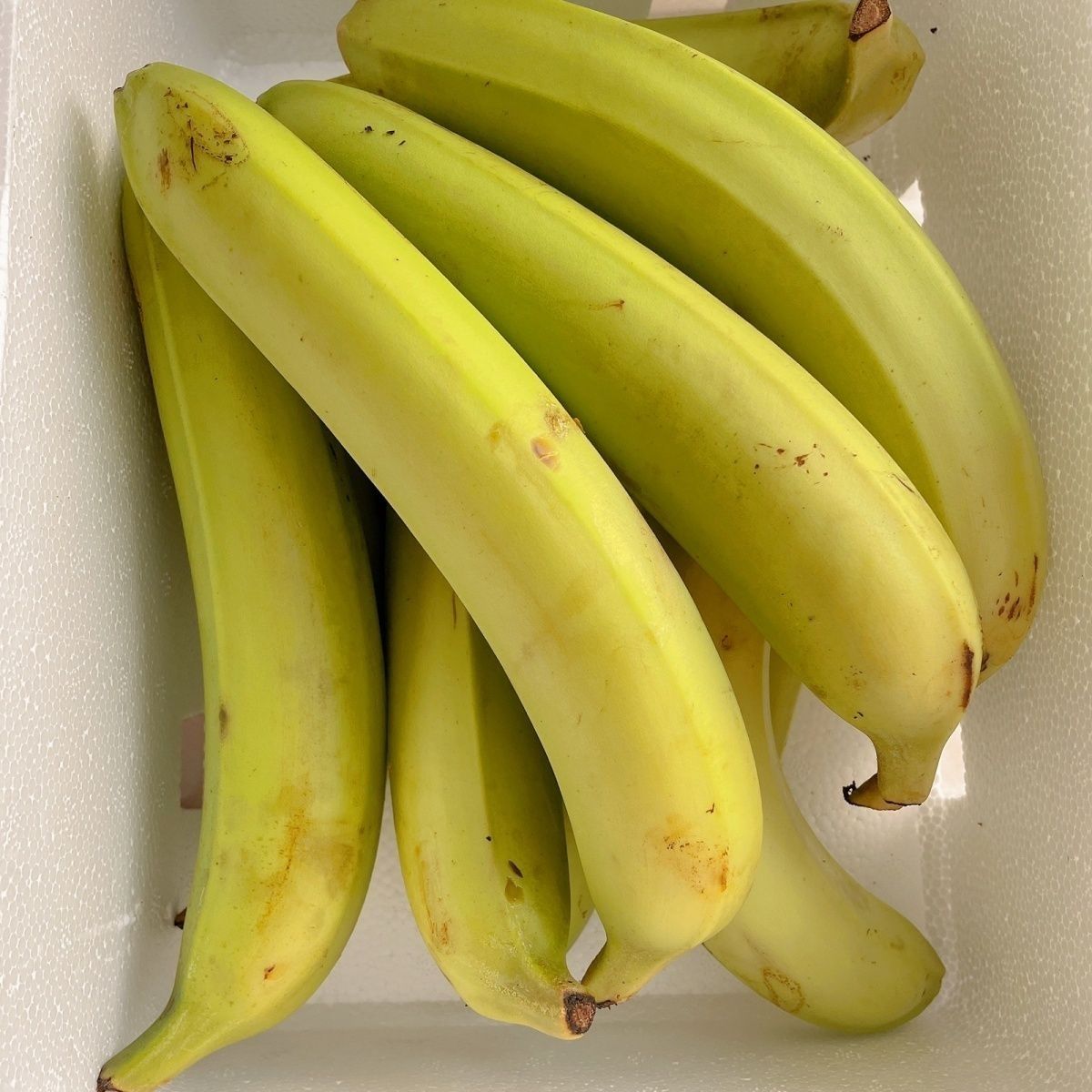 西双版纳高山蕉老品种单根香蕉单个土香蕉芝麻蕉青蕉发货无催熟