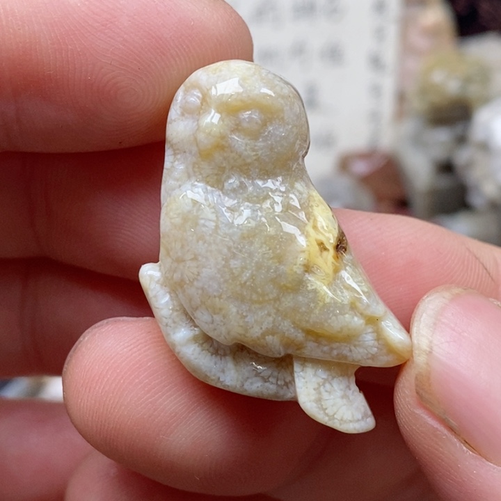 颈饰未镶嵌硅化珊瑚（珊瑚玉）有瑕 小