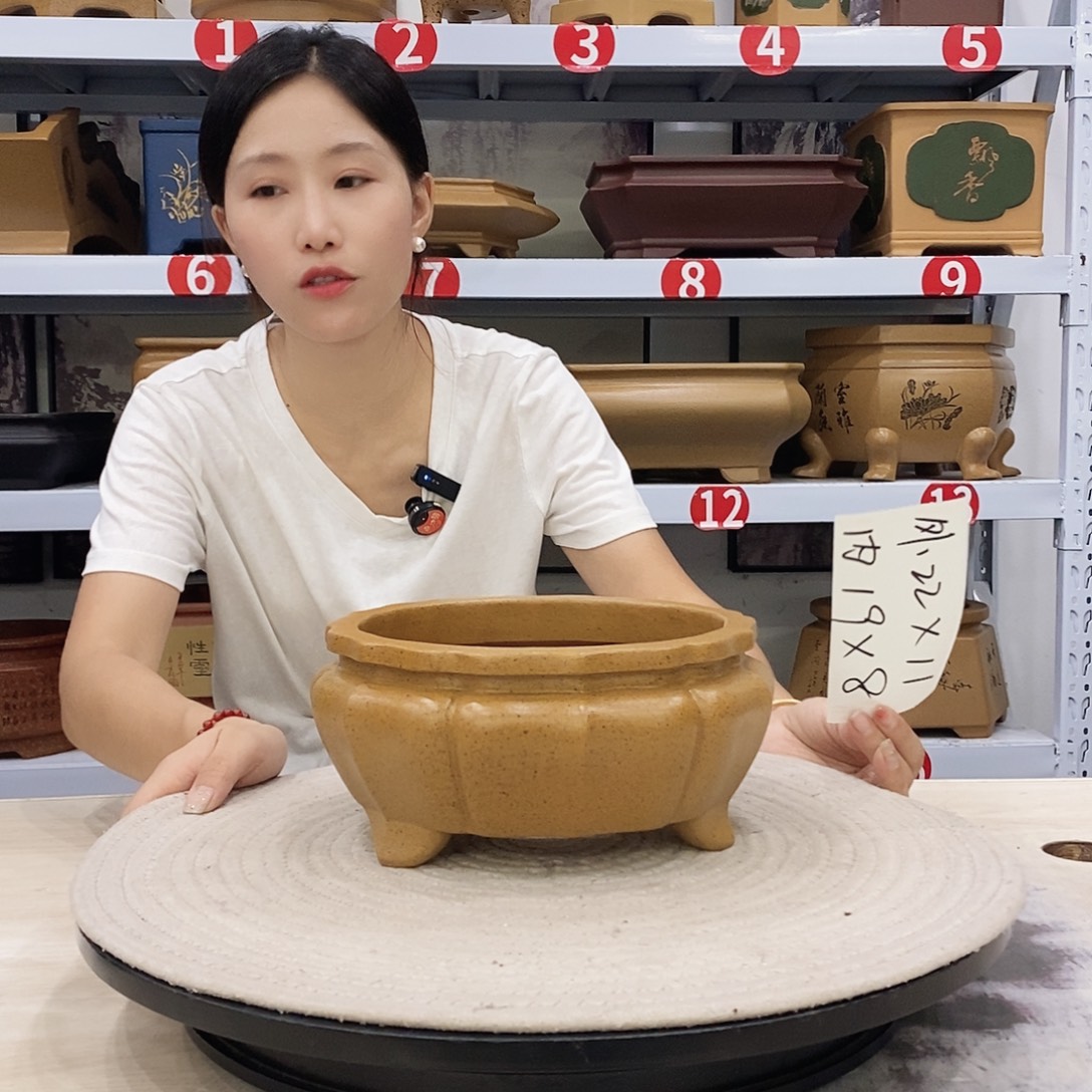 紫砂花盆紫砂花盆