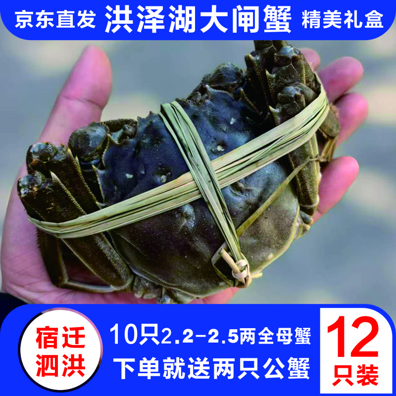 【活蟹】洪泽湖大闸蟹全母蟹2.2-2.5两/只 10只装 京东冷链 送公蟹