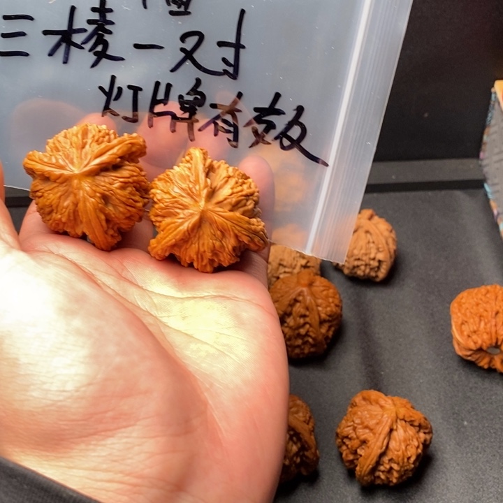 我们的生活方式是什么意思，我