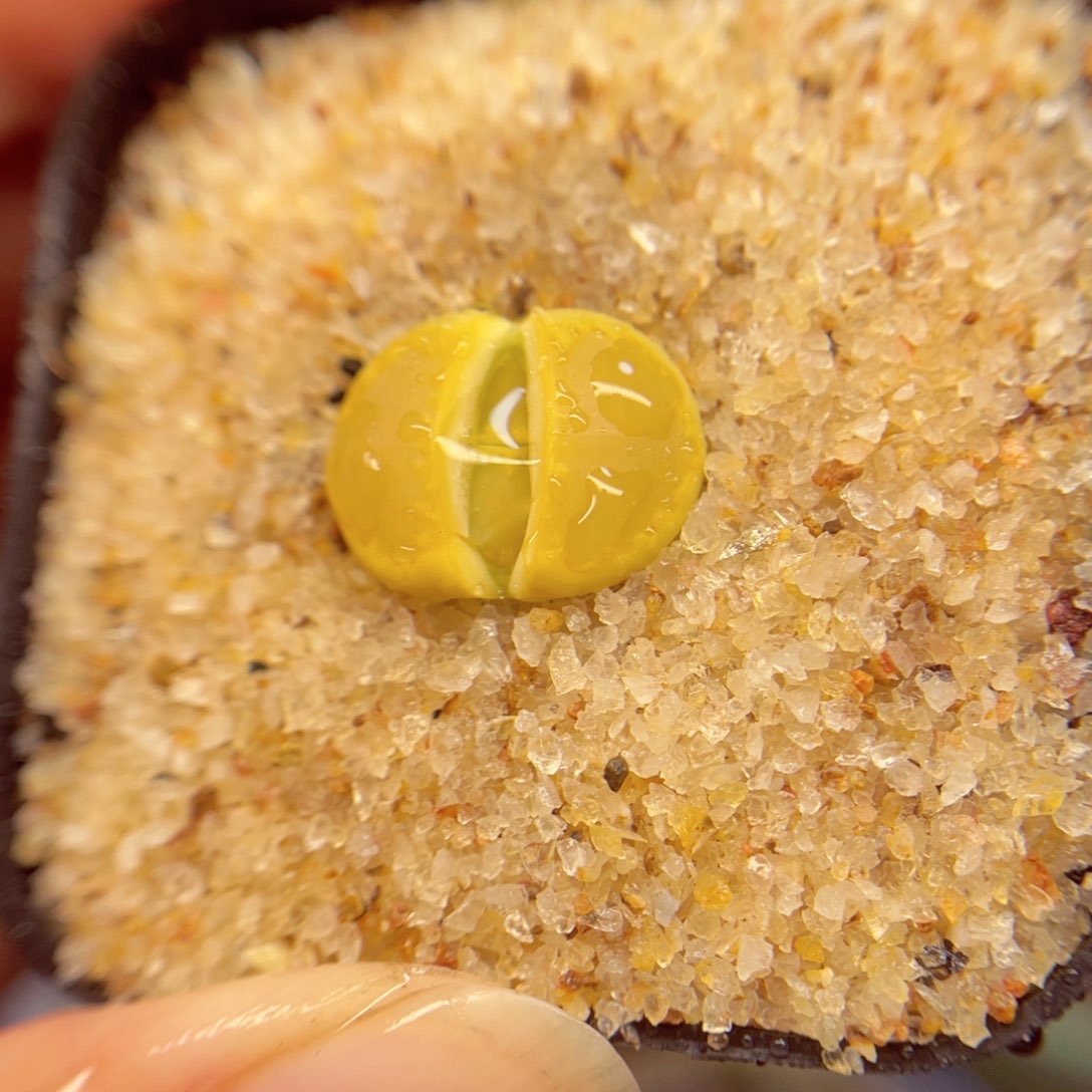 606. 688768879686967777