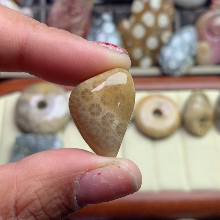 硅化珊瑚（珊瑚玉）颈饰未镶嵌