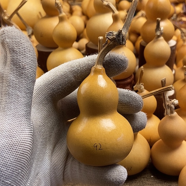 文玩葫芦 完美主义者 慎拍92