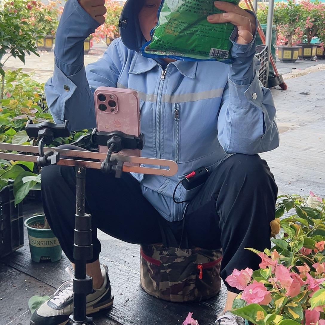大部分开放少量花苞土一包