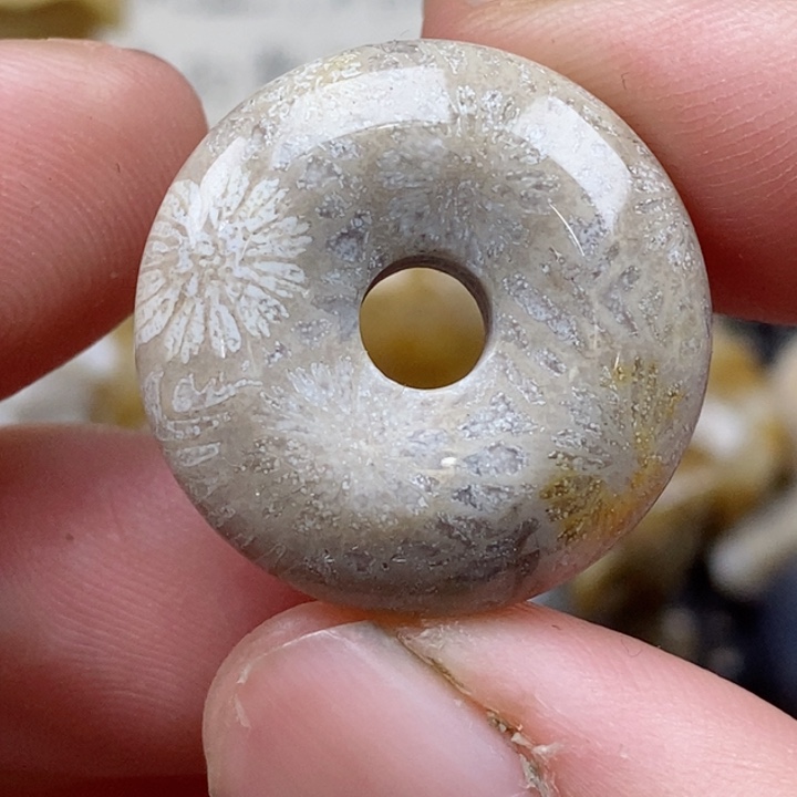 颈饰未镶嵌硅化珊瑚（珊瑚玉）小