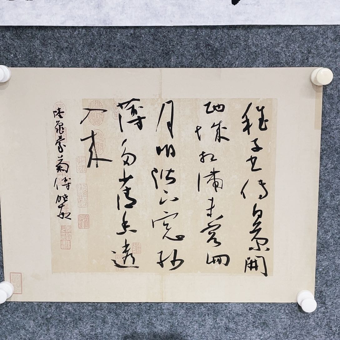 书法半醒斋书法作品