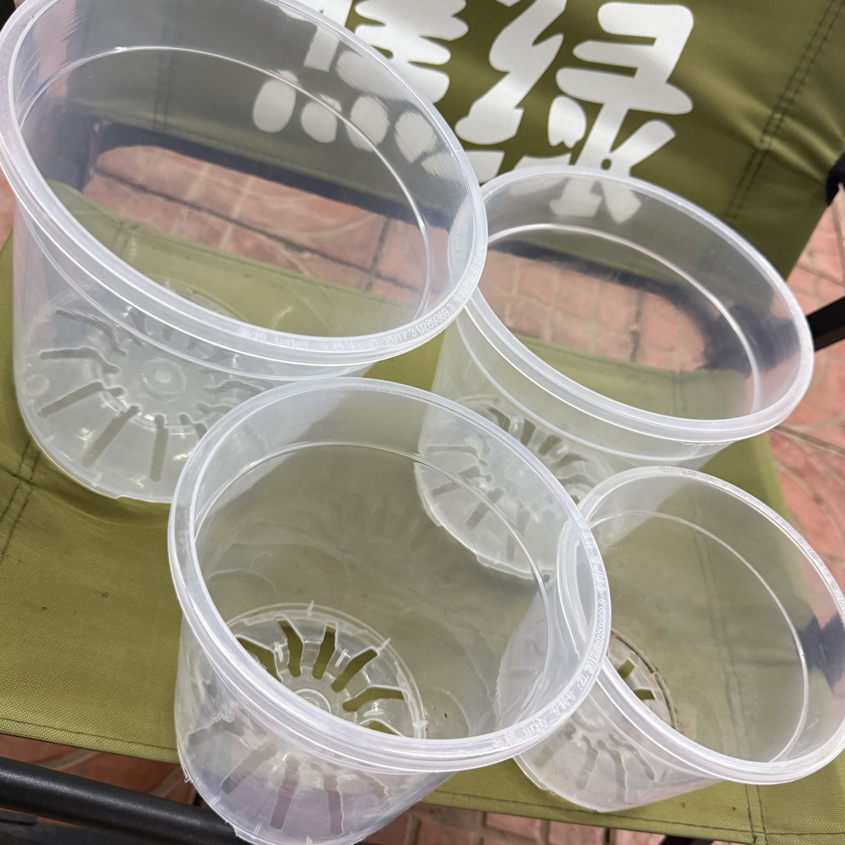 蝴蝶兰定制专用盆