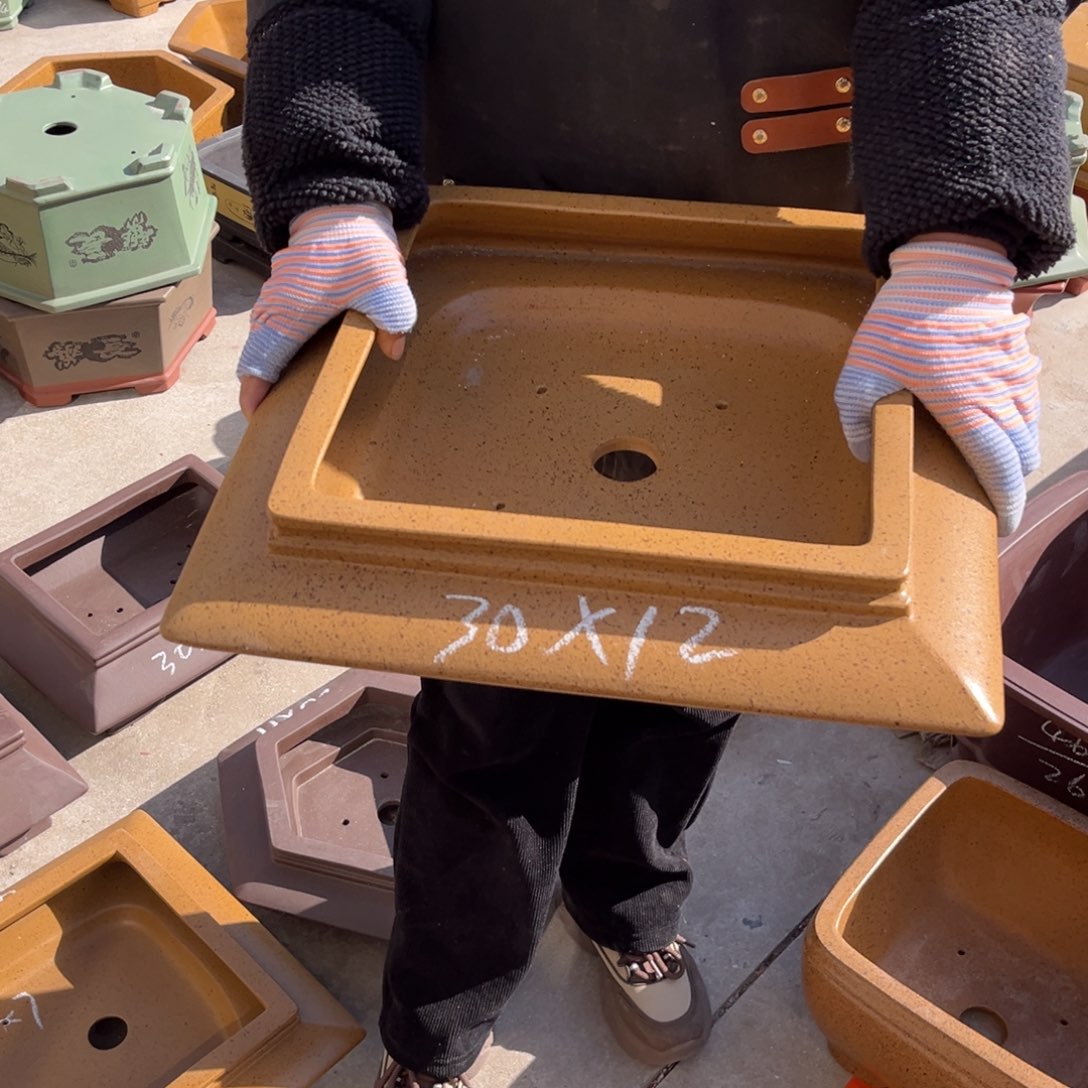 紫砂花盆盆景艺术