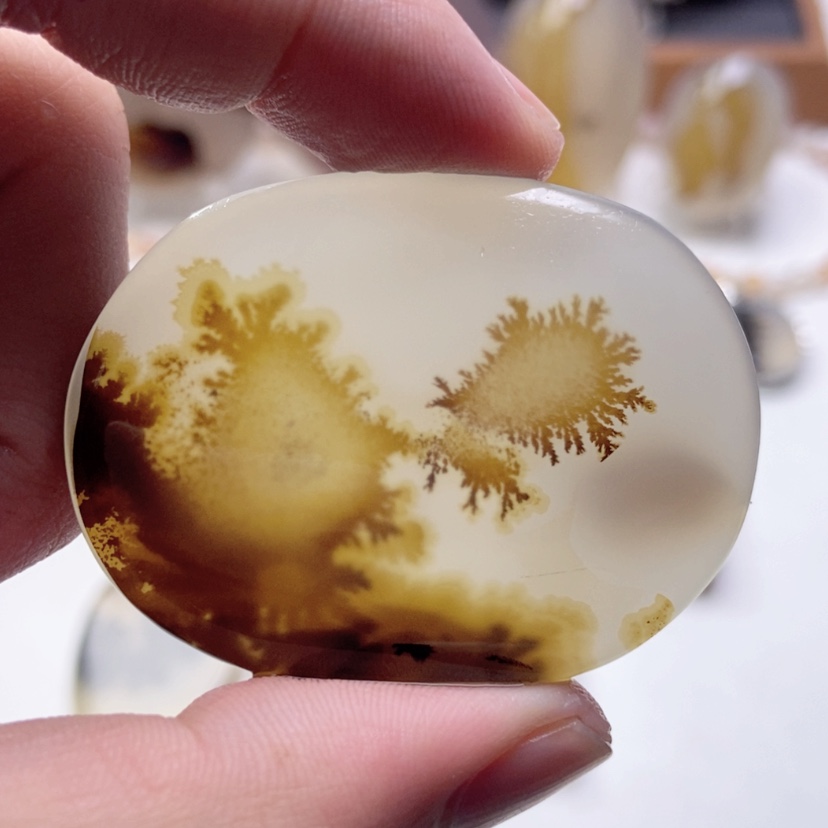 【闪购商品】玛瑙/玉髓颈饰未镶嵌