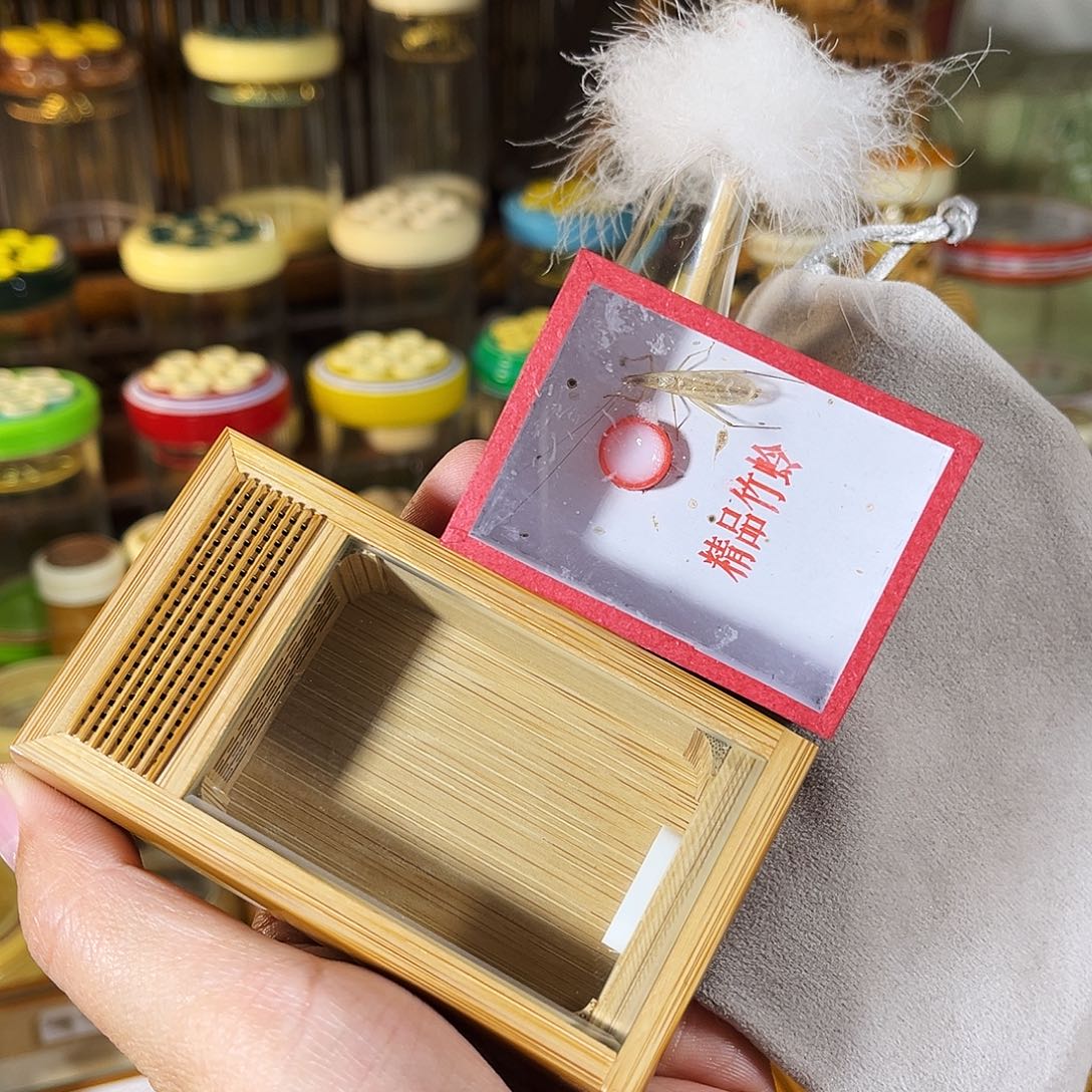蟋蟀老竹竹蛉盒+竹蛉++布套