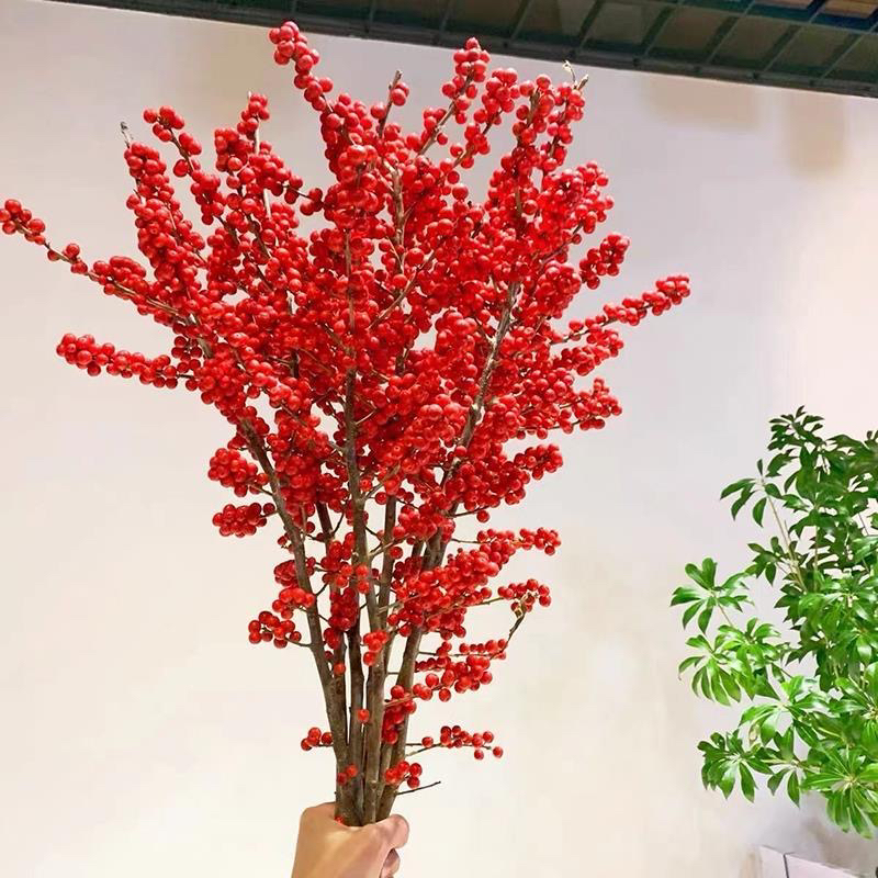 高品质北美冬青鲜切枝冬季室内水培观赏年宵花