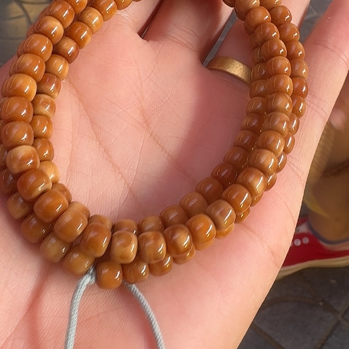 菩提根/象牙果吊坠龙脊脖挂全透7/6