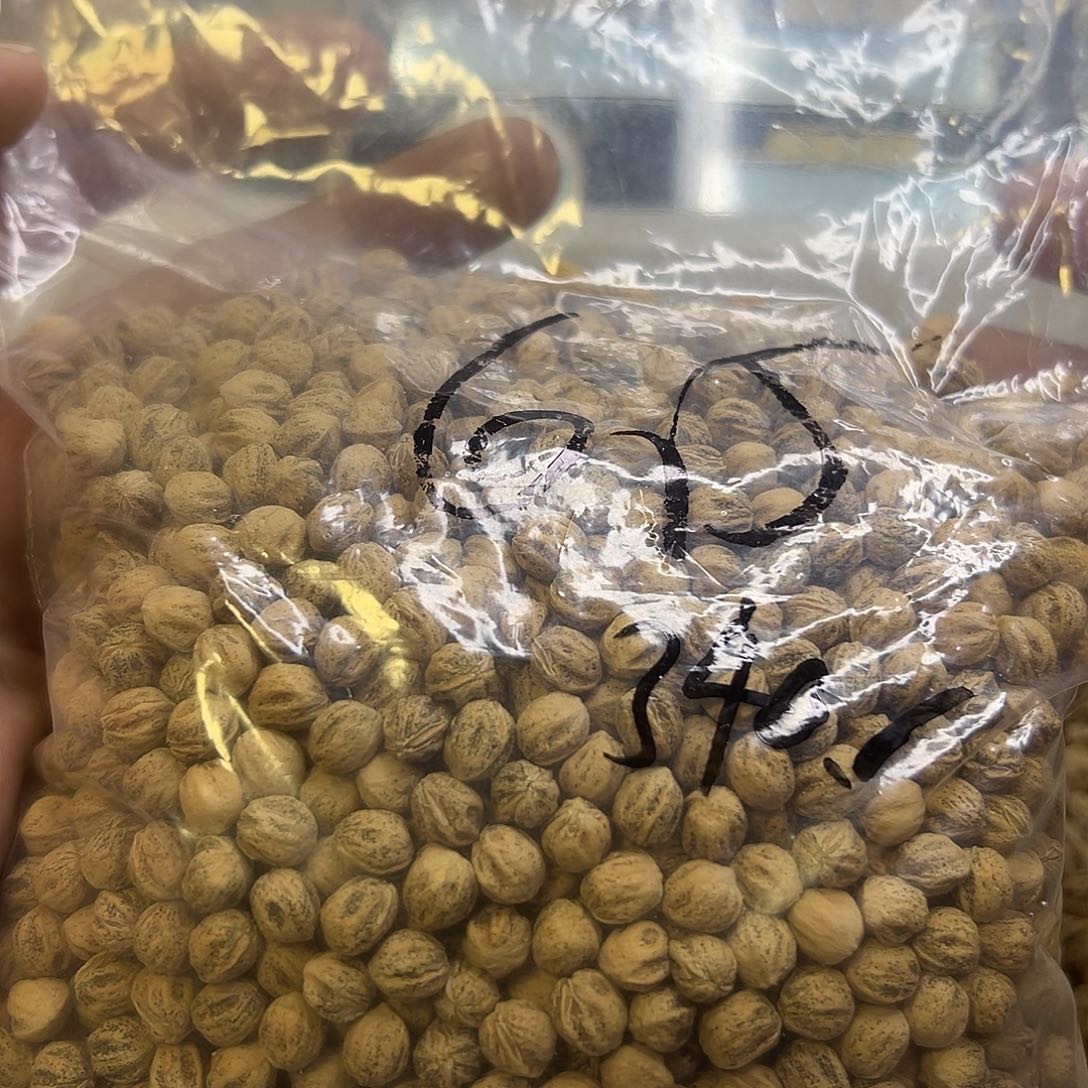 无***卒柏香籽/百香籽吊坠