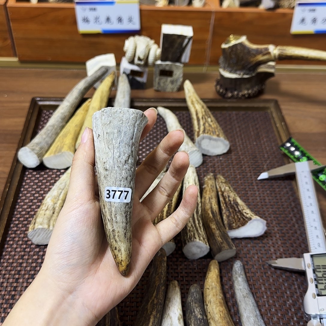 手串/手链鹿骨3777角尖