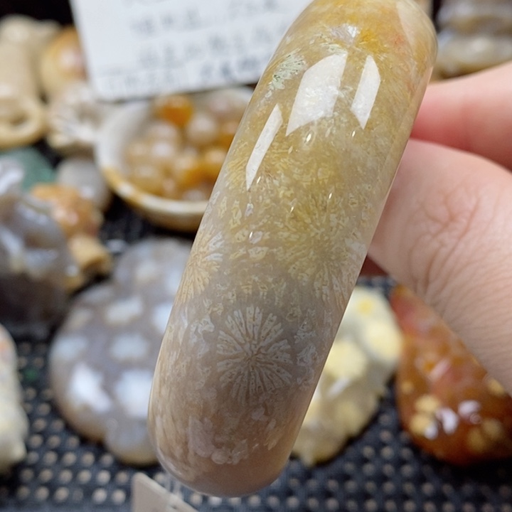 硅化珊瑚（珊瑚玉）颈饰未镶嵌56